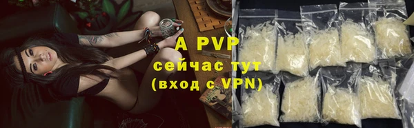 apvp Алзамай