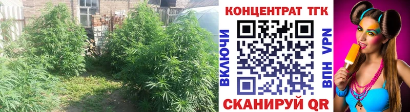 закладка Красноуральск ТГК вейп